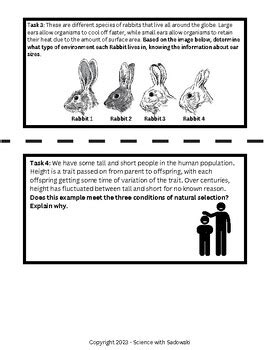 Evolution and Natural Selection Task Cards に対する画像結果