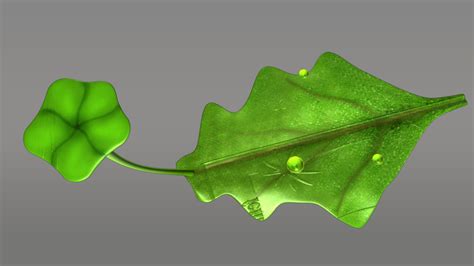 Marchantia Thallus Diagram に対する画像結果