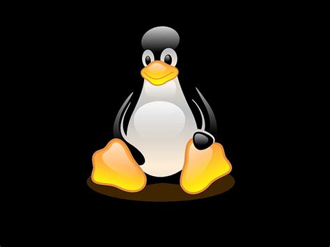 Image result for Linux Penguin Windows Logo
