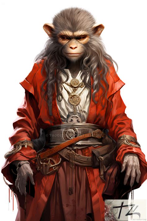 Afbeeldingsresultaten voor Monk with Monkey On His Head