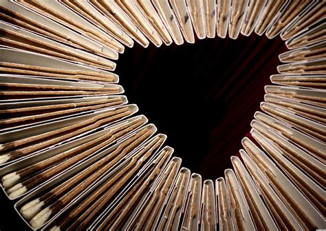 Image result for Principle of Design Unity Photograph