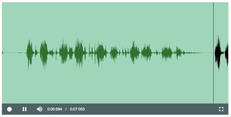 Image result for Audio Recorder HTML Design