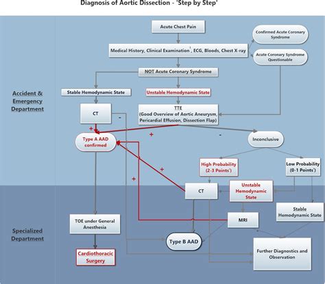 Medical Dissection に対する画像結果