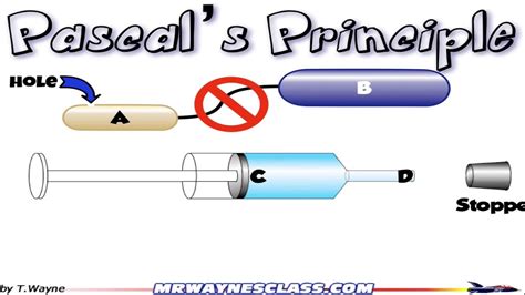 Image result for Pascal Meaning