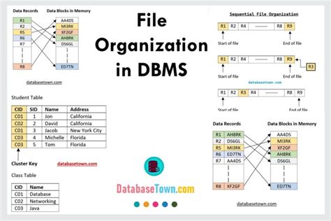 Toradh íomhá ar Types of Sub Query in DBMS