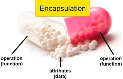 Image result for Encapsulation C++ Example