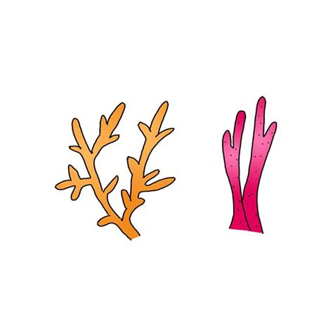 Image result for Coral Drawing Tutorial