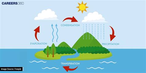 Rainfall Formation に対する画像結果
