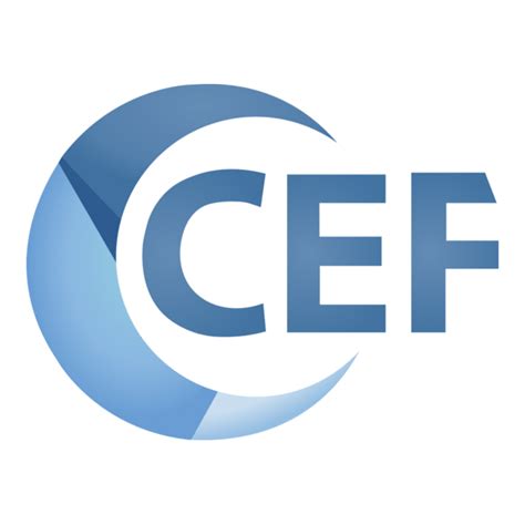 Toradh íomhá ar Vector Logo Embedded Development