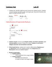 Image result for Catalase Test Lab Report