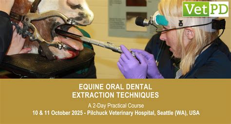 Toradh íomhá ar Horse Step Gas Extraction