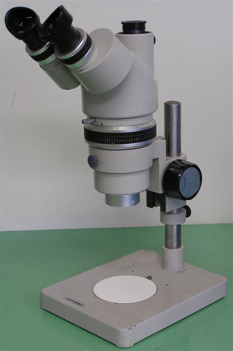 Image result for Stereo Microscope