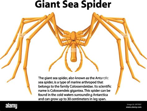 Toradh íomhá ar Informative Text