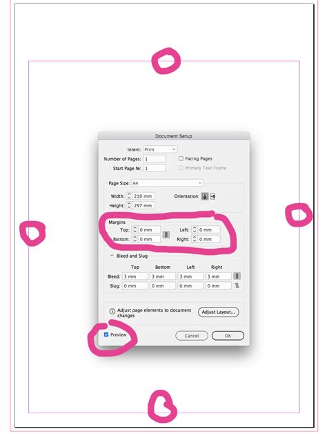 Image result for InDesign Adobe Margins