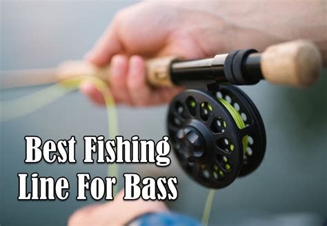 Image result for Best Bass Fishing Line