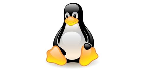 Toradh íomhá ar Automate Linux with Bash Scripts