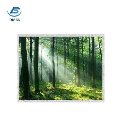 Image result for LCD-Display Screen