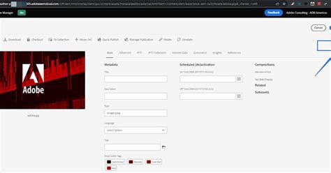 Afbeeldingsresultaten voor Adobe AEM Cloud Logo
