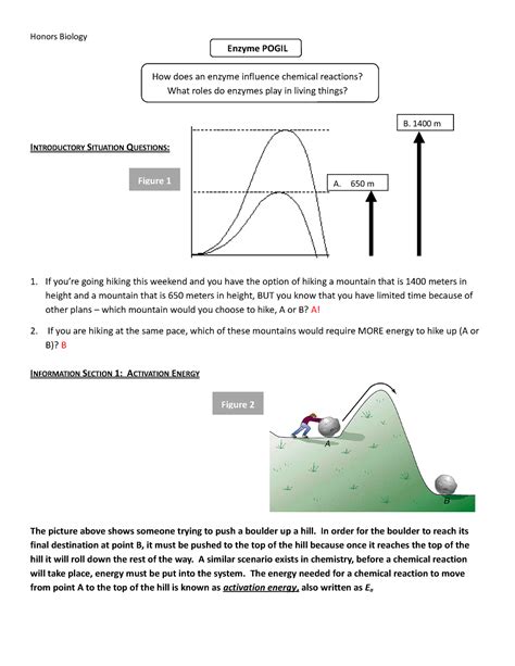 Evolution and Selection POGIL Answer Key માટે ઇમેજ પરિણામ