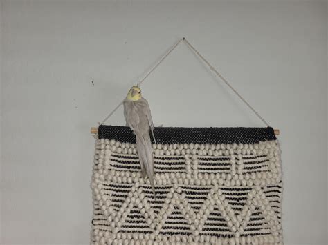 Toradh íomhá ar If Else Format Java