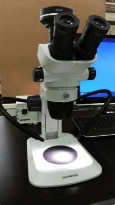 Image result for Particle Size Microscope