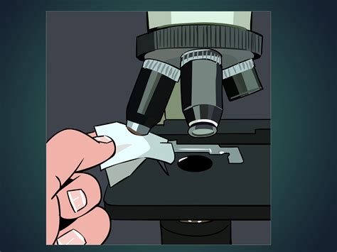 Image result for Microscope How to Use Step by Step