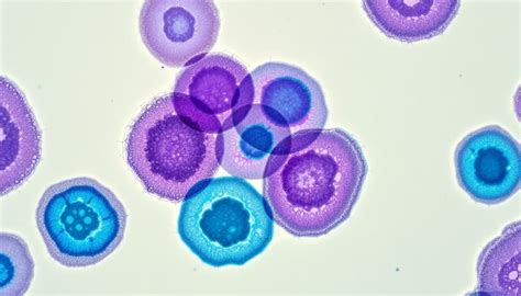 Image result for Stippled Cells