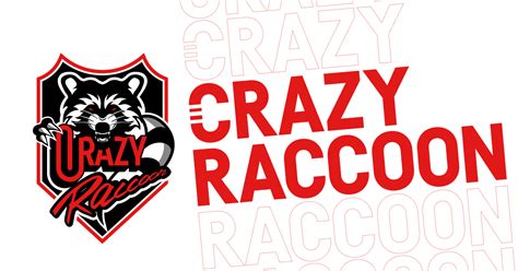 Introvert Racoon に対する画像結果