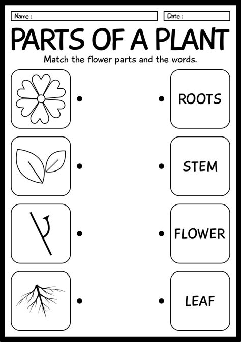 Image result for First Grade Science