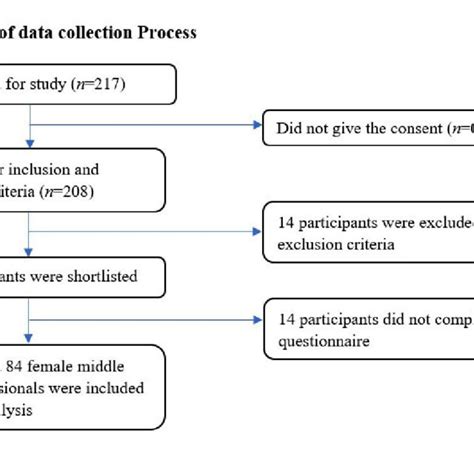 Image result for Scientific Data Collection Process Flow Chart