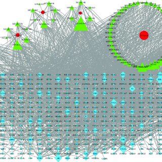 Toradh íomhá ar Components of a Distribution Network Figure