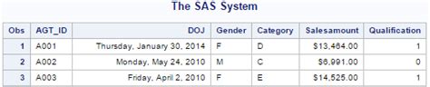 Toradh íomhá ar SAS Format Statement Example