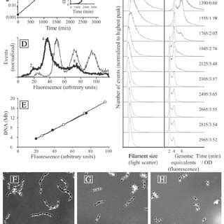 Image result for Batch Fermanor