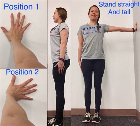 Image result for Arm Rotation