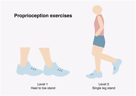 Image result for Active Proprioception