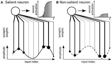 Image result for Rank Order Coding Neural Network