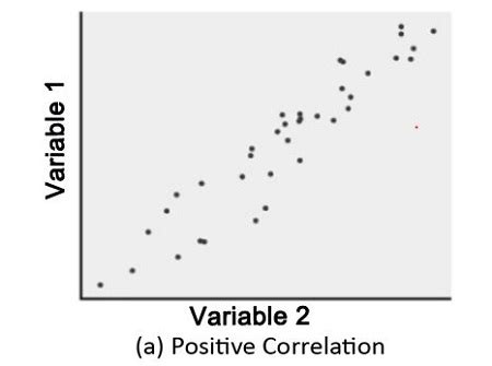 Positive Correlation Negative Correlation No Correlation に対する画像結果