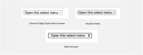 Image result for CSS Text Select Menu