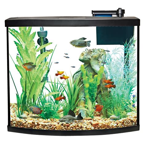 PetSmart 125 Gallon Aquarium に対する画像結果