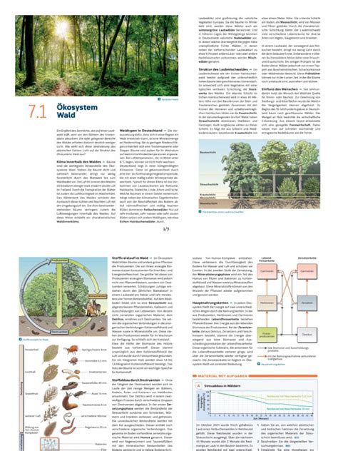 Wald Document に対する画像結果