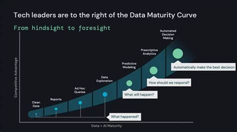 Image result for Databricks Data Maturity