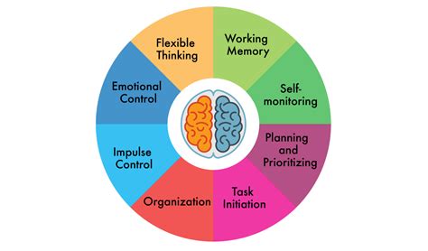 Image result for Executive Function Examples