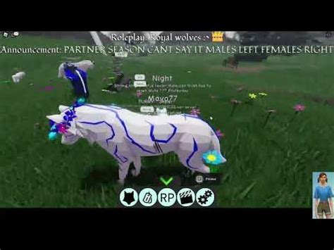 Toradh íomhá ar Animal Life Roblox Script