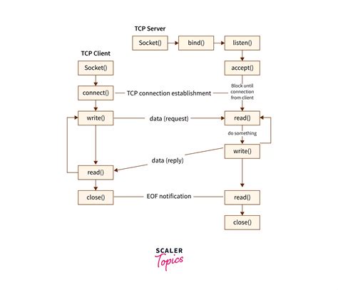 Image result for Socket in Network Programming