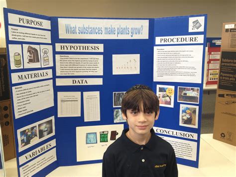 Image result for 3rd Science Fair Project