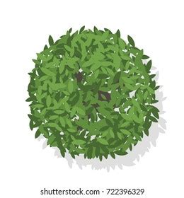 Overhead Tree Vector に対する画像結果