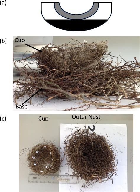 Image result for Nesting Structure