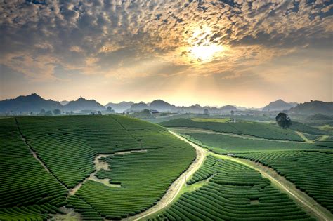 Image result for Field Photography