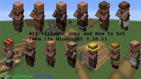 Image result for What Are the Different Types of Villagers in Minecraft