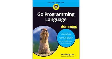 Image result for Go Programming Language Beginner